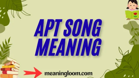 apt song meaning