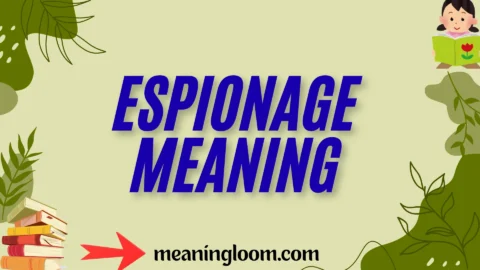 espionage meaning