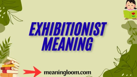 exhibitionist meaning