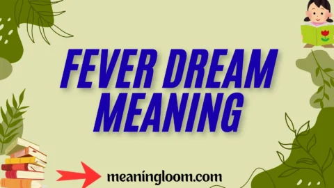 fever dream meaning