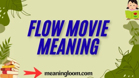 flow movie meaning