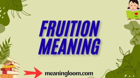 fruition meaning