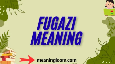 fugazi meaning