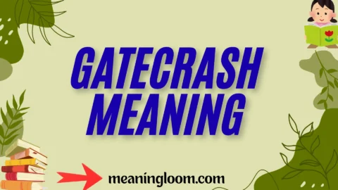 gatecrash meaning