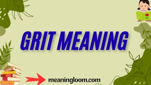 grit meaning