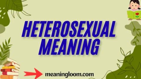 heterosexual meaning