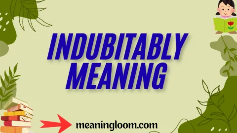 indubitably meaning