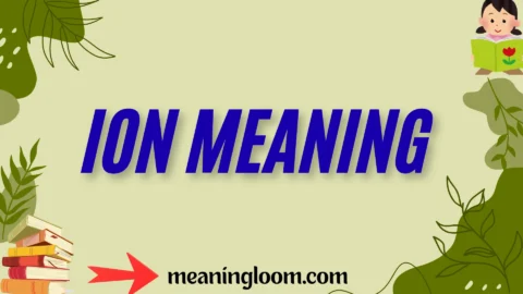 ion meaning