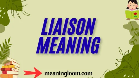 liaison meaning