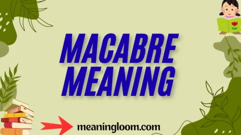 macabre meaning