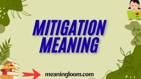 mitigation meaning