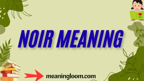 noir meaning