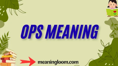 ops meaning