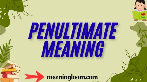 penultimate meaning