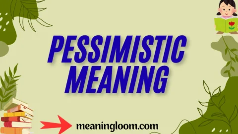 pessimistic meaning