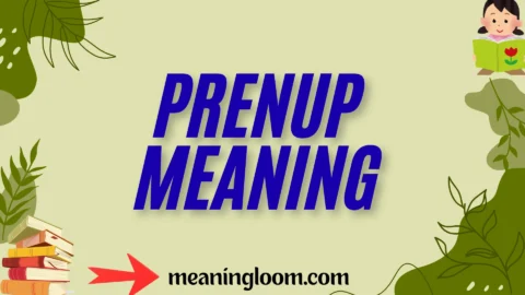 prenup meaning