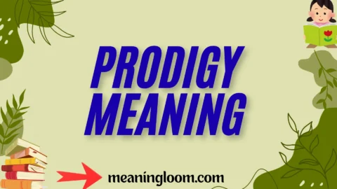 prodigy meaning