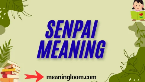 senpai meaning