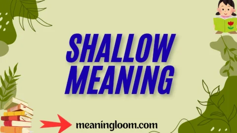 shallow meaning