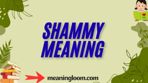 shammy meaning