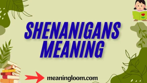 shenanigans meaning