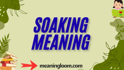soaking meaning