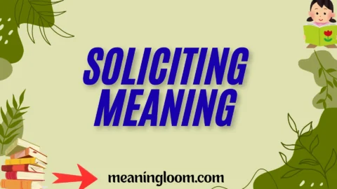 soliciting meaning