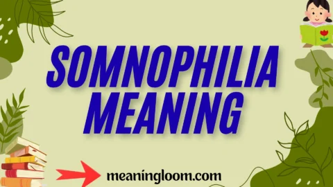 somnophilia meaning