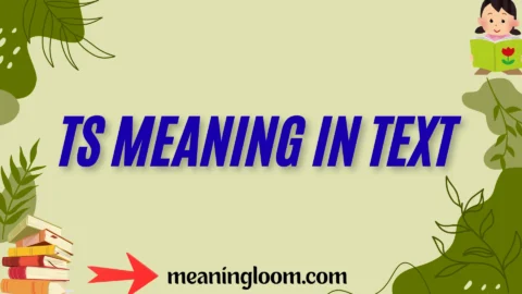 ts meaning in text
