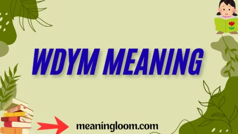 wdym meaning