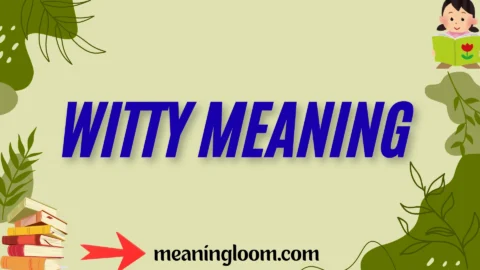witty meaning