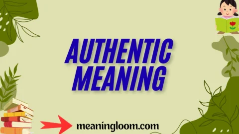 authentic meaning