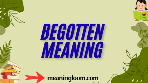 begotten meaning