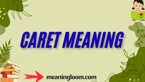 caret meaning