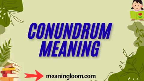 conundrum meaning