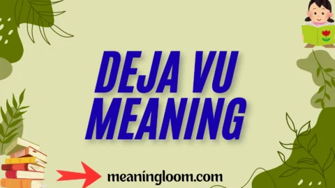 deja vu meaning