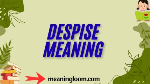 despise meaning