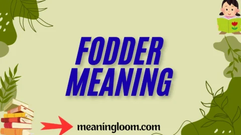 fodder meaning