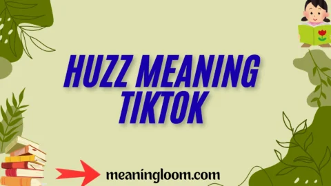 huzz meaning tiktok