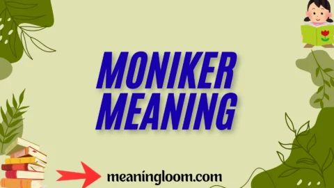moniker meaning