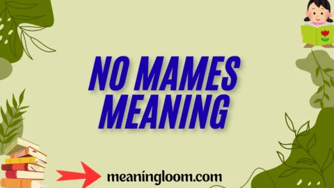 no mames meaning