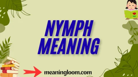 nymph meaning
