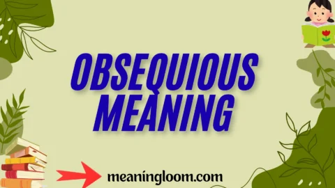 obsequious meaning