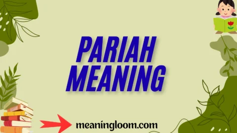pariah meaning