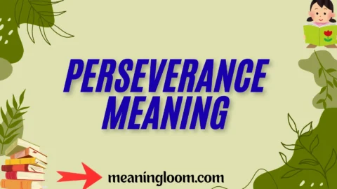 perseverance meaning