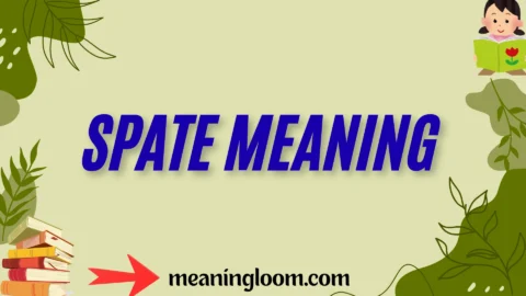 spate meaning