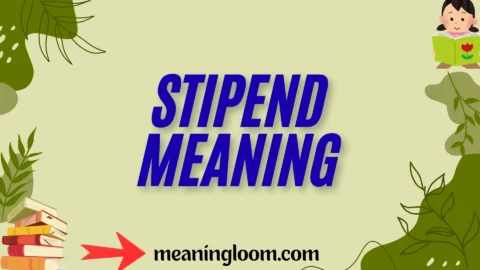 stipend meaning