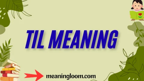 til meaning