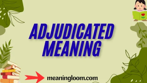 adjudicated meaning
