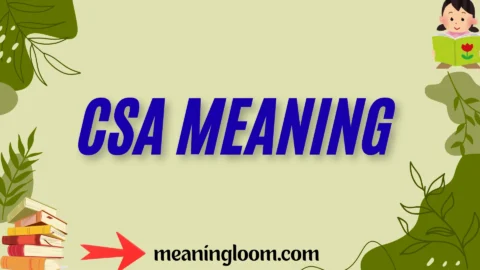 csa meaning